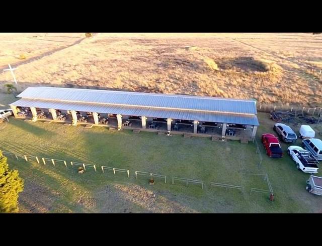 FARM FOR SALE IN STOFFBERG